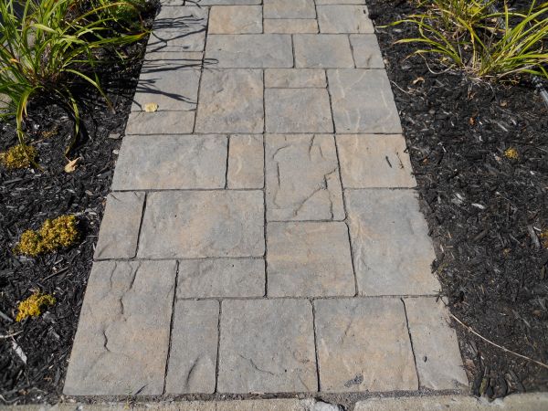 Stamped Concrete Staining in Meridian
