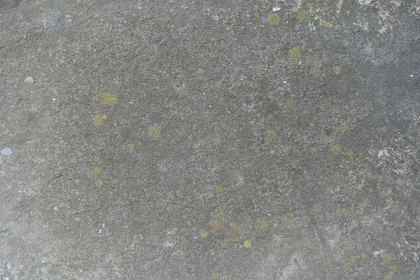 Slab Staining Service in Meridian